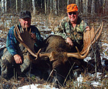 moose hunting in alberta