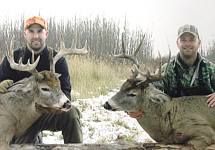 whitetail deer hunting alberta canada