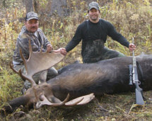 moose hunting alberta canada