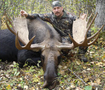 alberta moose hunting