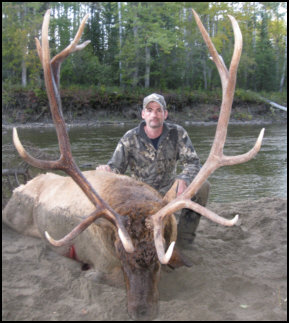 alberta elk hunts