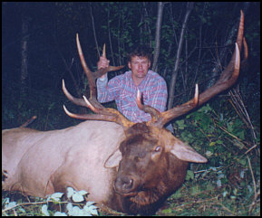 alberta elk hunts