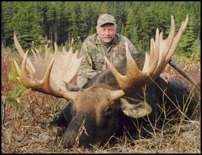 moose hunting alberta canada