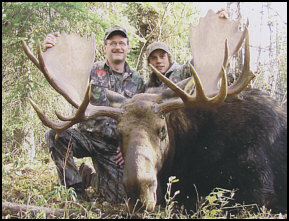 Alberta Canada moose hunts