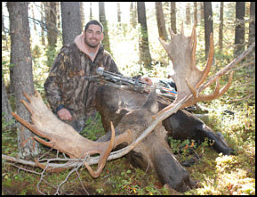 Alberta moose hunting