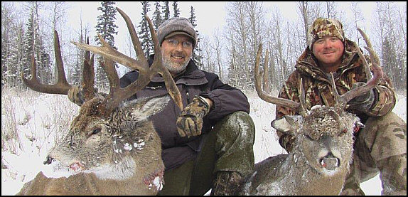 whitetail deer hunts alberta